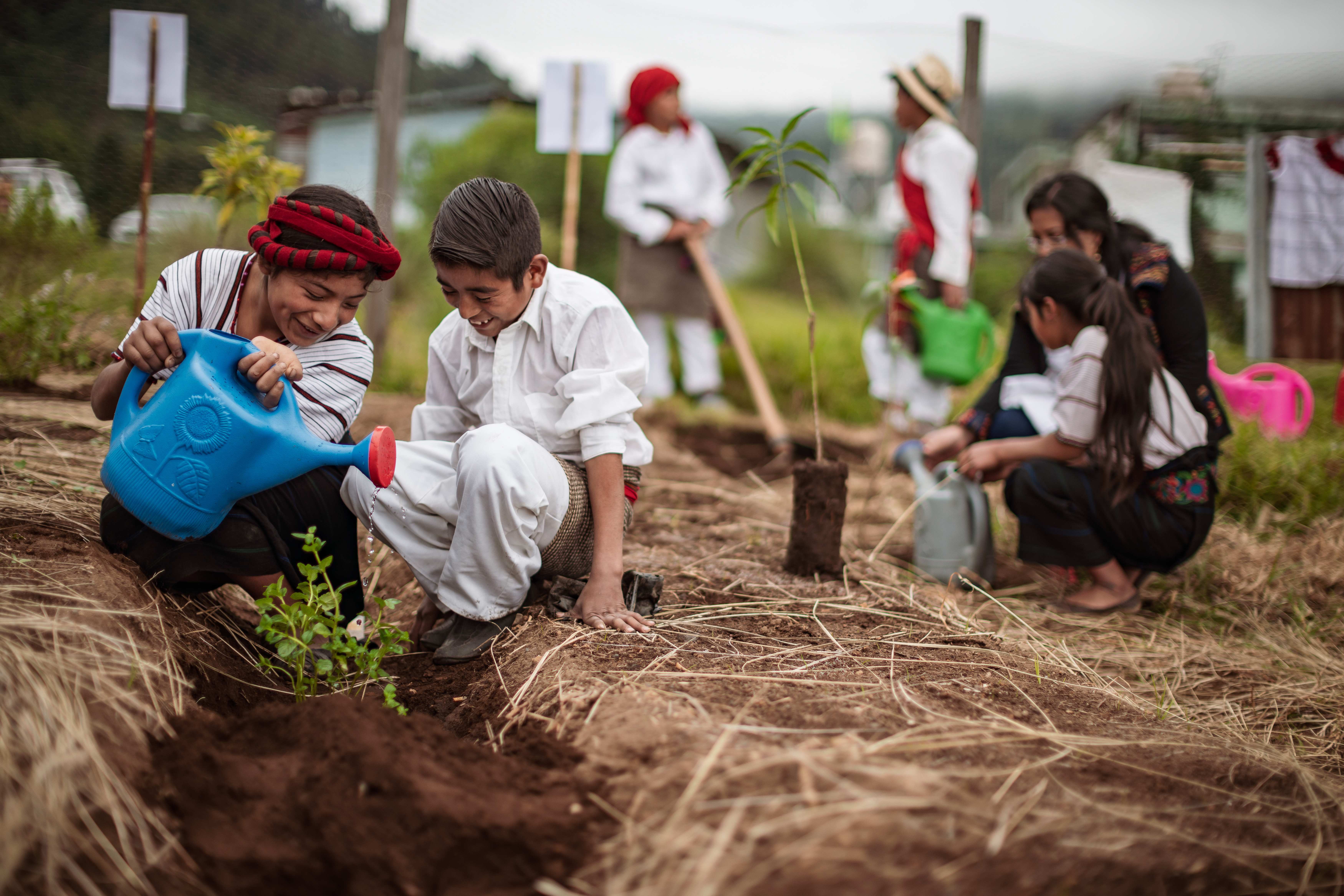 Kinder im Schulgarten (Quelle: Jakob Studnar) Kinder im Schulgarten (Quelle: Jakob Studnar)