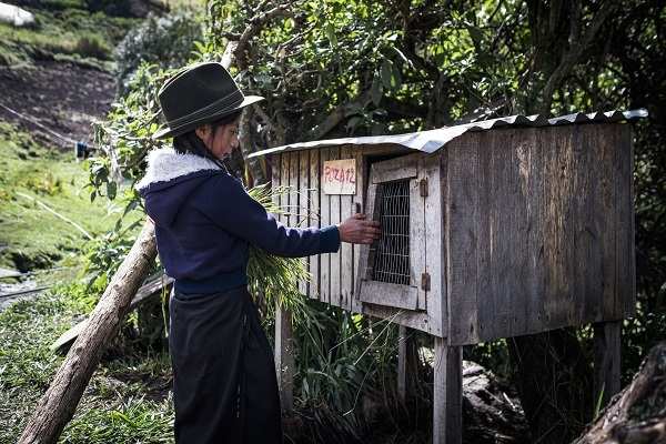 Ein Mädchen steht vor einem Kaninchenstall (Quelle: Martin Bondzio) Ein Mädchen steht vor einem Kaninchenstall (Quelle: Martin Bondzio)