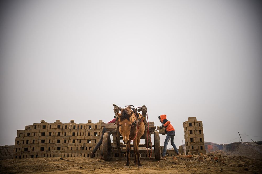 Mit einem Pferdekarren werden die schweren Steine in den Ofen transportiert (Foto: Martin Bondzio) Mit einem Pferdekarren werden die schweren Steine in den Ofen transportiert (Foto: Martin Bondzio)